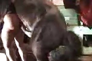 dierenporno,dierentuin porno video,zoöfilie seks video,meisje en dieren seks,dieren seks clips,gratis porno met dieren,zoo sex,seks met hond