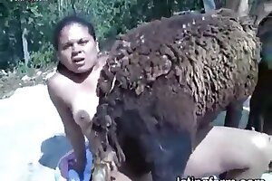 closeup zoo porn,zoofilia porn