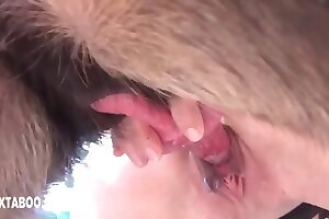 変態獣姦ポルノ, 無料の動物ポルノ, 獣姦映画, 動物とのポルノ