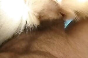 porno so zvieratami,