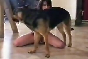 videoposnetki o zoofiliji,pornografija z živalmi,brezplačna zoo pornografija,živalski porno videi,divji seks,seks z živaljo,na prostem jebemti,orgazemski seks,pasji porno videi