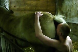 ہینٹائی اینیمل پورن, حیوانیت کی ویڈیوز, hentai حیوانیت, 3d جانوروں کی فحش