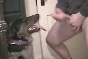 sex in farm, videos zoofilia hd, horse sex, pet sex, animal sex, zoo sex, animal sex, zoo porn, animal porn, zoofilia, bestiality