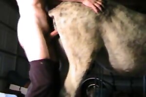 beastiality orgasms,beastiality sex