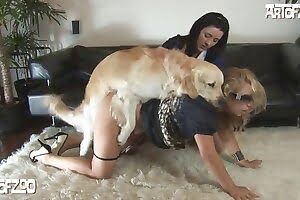 domácí zoo porno, zoofilní porno, chlapi a muži šukají psy,sání kohouta, kouření, zoo-sex porno, zvíře, gay zvířecí porno,zvířecí porno trubice, zvířecí sexuální trubice, porno trubice