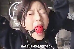 asiatisk zoo porr,kvinnor och djur,hundporr,djur fan porr,zoophilia filmer